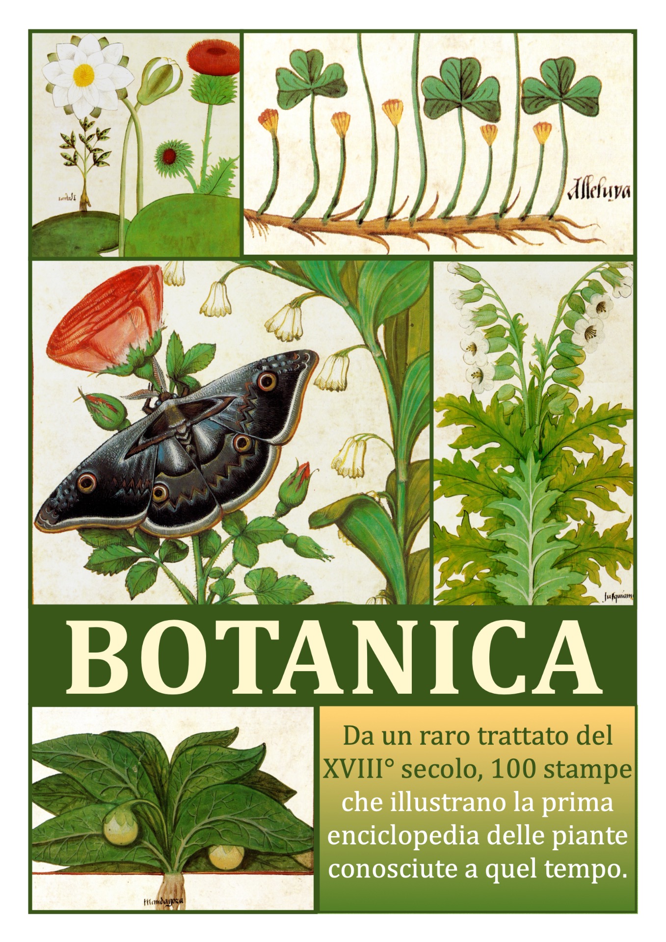 scarica il catalogo in Pdf di 50 posters